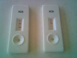 multiproducts panama multiproductos global suppliers panama